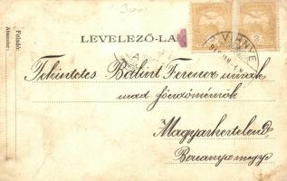 ~1910 Vihnyefürdő, Kúpele Vyhnye; Hacher villa / villa (fa)