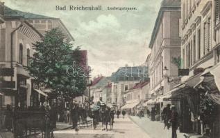 Bad Reichenhall, Ludwigstrasse / street view with shops