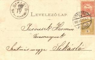 1902 Rahó, Rahau, Rakhiv (Máramaros); Borkút és Gyula forrás / mineral water well with spring