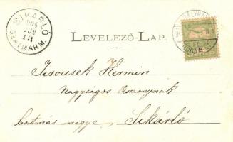 1904 Rahó, Rahau, Rakhiv (Máramaros); Piac és indóház, vasútállomás. Szálpéter M. kiadó és Németh J....