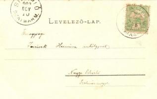 1902 Rahó, Rahau, Rakhiv (Máramaros); fürdőház, Aladár öröme, utcakép. R. Adlerstein kiadása / spa, ...