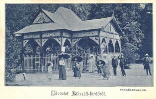 1906 Bikszád-fürdő, Baile Bixad; Forrás pavilon / spring pavilion
