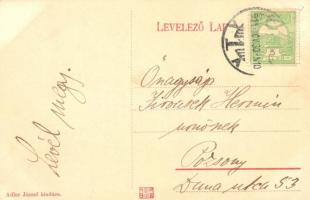 1911 Érsekújvár, Nové Zamky; Arany Oroszlán szálloda, Szentháromság szobor, lovashintók. Adler Józse...