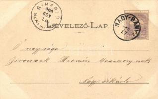 1900 Nagybánya, Baia Mare; Magyar utca / Hungarian street. Art Nouveau