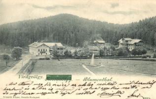 1901 Tátra, Virágvölgy (Rózsavölgy), Blumenthal; szállodák / hotels  (EK)