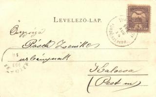 1901 Tátra, Virágvölgy (Rózsavölgy), Blumenthal; szállodák / hotels  (EK)