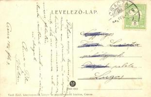 1916 Csaca, Cadca, Caca; Posztógyár. Taub Emil kiadása / broadcloth factory