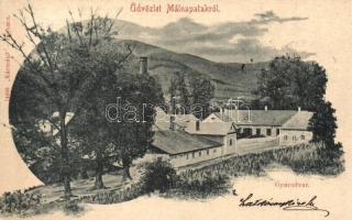 1900 Málnapatak, Málinec; üveggyár udvar. Kármán kiadása / Glasfabrik / glass factory  (EK)