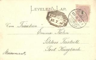 1899 Pozsony, Pressburg, Bratislava; Ferencz József híd / Franz Josephsbrücke / bridge (EK)