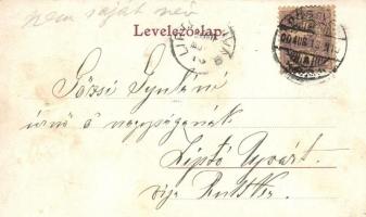 1900 Pöstyén, Pistany, Piestany; zenepavilon zenekarral / music pavilion with music band  (fl)