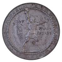 Osztrák-Magyar Monarchia ~1915. "Hötzendorf vezérezredes" Zn emlékérem "M&W.ST&qu...