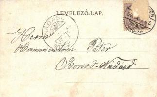 1900 Pöstyén, Pistany, Piestany; Ivókút / Trinkbrunnen / drinking well (Rb)