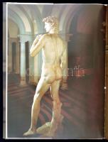 De Vecchi, Pierluigi: MIchelangelo. 2005, Aquila Könyvkiadó. Kiadói kartonált kötés, papír védőborít...