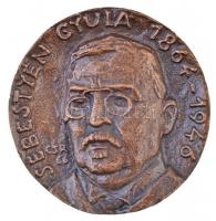 Csíkszentmihályi Róbert (1940-) 1966. "Sebestyén Gyula 1864-1946" egyoldalas Br plakett, hátoldalon gravírozva (85,62g/58mm) T:1- / Hungary 1966. "Gyula Sebestyén 1864-1946" one-sided Br plaque, engraved on reverse (85,62g/58mm) C:AU