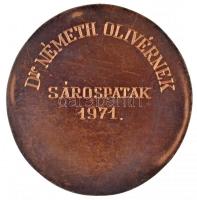 Csíkszentmihályi Róbert (1940-) 1966. "Sebestyén Gyula 1864-1946" egyoldalas Br plakett, h...