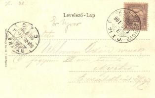 1901 Érsekújvár, Nové Zámky; vasútállomás gőzmozdonnyal. Szecessziós litho keret / Bahnhof / railway...