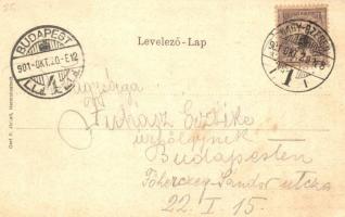 1901 Nagyszeben, Hermannstadt, Sibiu; Heltauer utca,  Julius Wermesther. Szecessziós virágos litho k...