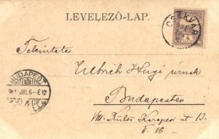 1901 Csákvár, kastély, Piac tér, Tűzoltó laktanya, Gazdasági iskola. Lóherés litho montázs
