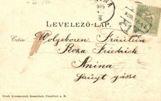 1905 Versec, Vrsac, Werschetz; elemi iskolák, Honvéd emlékszobor, Ferencz József tér. Lóherés litho ...