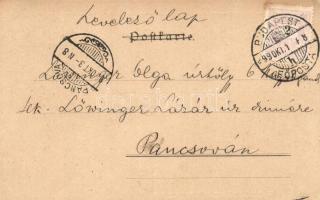 1899 Allerlei XII/8. Wiener Künstler-Postkarte Philipp & Kramer s: Alexander Pock