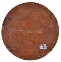 Csúcs Ferenc (1905-1999) 1989. "Dr. Csillag István" egyoldalas, öntött Br plakett (337,47g...