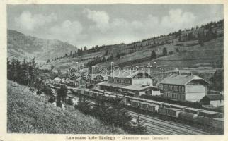 Lavochne, Lawoczne kolo Skolego; railway station / Bahnhof (EM)