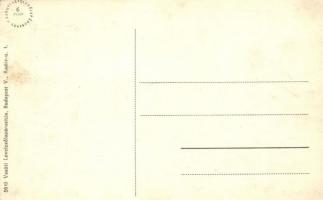 Bátyú, Batyovo; Lónyai kastély / Schloss / castle (EK)