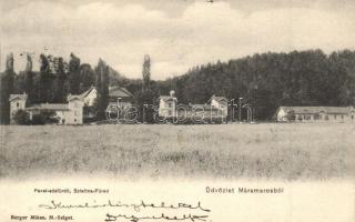 1907 Szlatinafüred, Slatina (Aknaszlatina, Máramaros); Pável sósfürdő nyaralókkal / spa with villas
