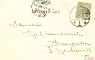 1907 Szlatinafüred, Slatina (Aknaszlatina, Máramaros); Pável sósfürdő nyaralókkal / spa with villas