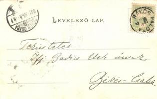 1902 Budapest XV. Rákospalota, Stettner Mór-féle leánynevelő intézet. Kiadja Fischer Dezső (EK)