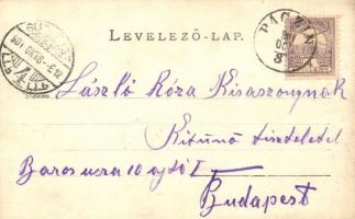 1901 Pácin, Pácini várkastély (Mágóchy-Alaghy-Sennyei-kastély). Art Nouveau, floral photo