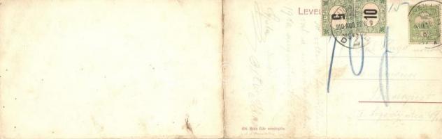 1910 Leányfalu, hajó kikötő. panoramacard, Róth Ede vendéglős kiadása (fl)