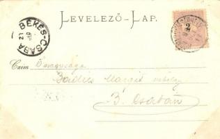 1899 Hódmezővásárhely, Színkör, Erzsébet szemkórház. Grossmann Benedek kiadása. Art Nouveau, floral