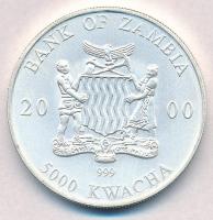 Zambia 2000. 5000K Ag "Elefánt" T:1
Zambia 2000. 5000 Kwacha Ag "Elephant" C:UN...