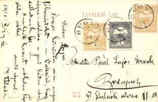 1910 Bugyi, kastély kert