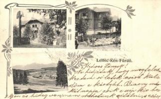 1907 Leibic, Leibitz, Lubica; Kén-fürdő, birkanyáj / sulphur spa, street view with flock of sheep. Art Nouveau