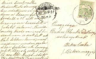 1907 Leibic, Leibitz, Lubica; Kén-fürdő, birkanyáj / sulphur spa, street view with flock of sheep. A...