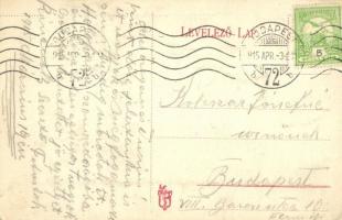 1915 Hernádcsány, Csany, Cana; Gőzmalom, utcakép bor, sör és pálinka üzlettel / steam mill, street v...