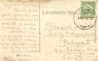 1908 Pelsőc, Pelsücz, Plesivec;  Fő utca, városháza, Pártos Miksa üzlete. No. 1110. Kiadja Pártos Mó...