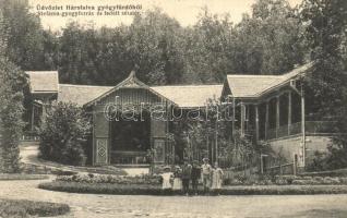 1907 Hársfalva-gyógyfürdő (Szolyva), Nelipino; Stefánia-gyógyforrás és fedett sétatér / mineral spring, colonnade