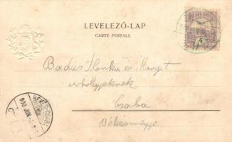 1900 Magyarország. A m. korona országainak egyesített címere. Földrajzi kiadása I. sorozat (tulajdon...