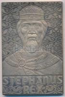 DN Stephanus Rex Szent István király portréját ábrázoló, jelzett Ag emlékplakett (60,19g/0.835/40x60mm) T:1- patina