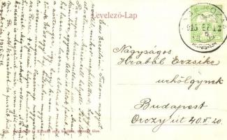 1915 Pécs, Királyi tábla, Nádor szálloda, Stern Mór bazár üzlete, Singer varrógép rt