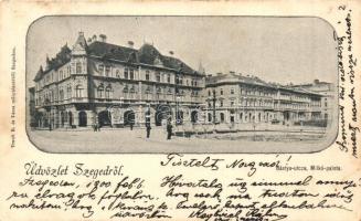 1900 Szeged, Bástya utca, Milkó palota
