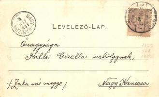 1900 Szeged, Bástya utca, Milkó palota