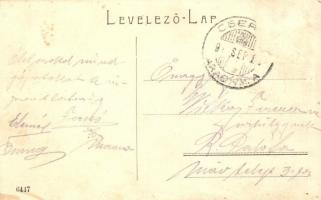 Arad, Vármegye palota / county hall palace  (Rb)