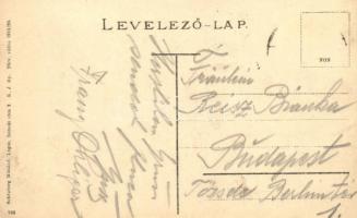 Lugos, Lugoj; Temesvári utca, Törvényszéki palota. Schönberg Miksáné kiadása / street view with Fore...