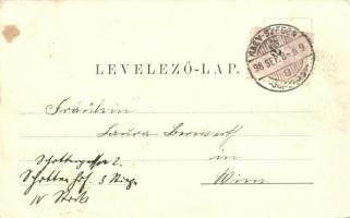 1898 Nagyszeben, Hermannstadt, Sibiu; utcakép evangélikus templommal / Saggasse / street view with c...