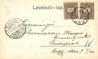 1900 Csejte, Cachtice (Pöstyén); Hrad Báthorovcov / Báthory várrom / castle ruins