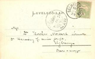 1905 Selmecbánya, Schemnitz, Banska Stiavnica; Óvár. Joerges / castle